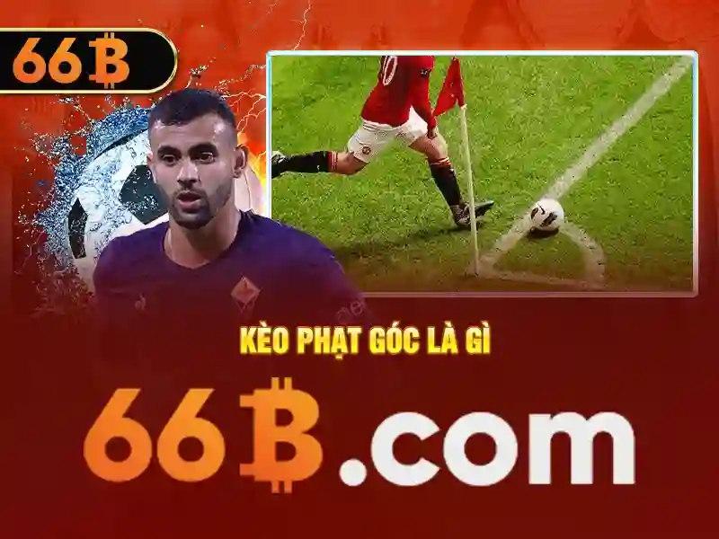 66b nguyễn thi sách – Chủ đề tổng quan và giá trị cốt lõi