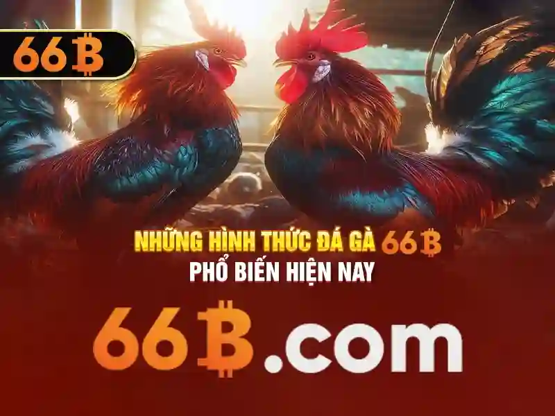 66b: Phân tích khái niệm và ứng dụng