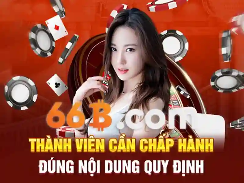 Trải nghiệm người dùng và phản hồi từ cộng đồng