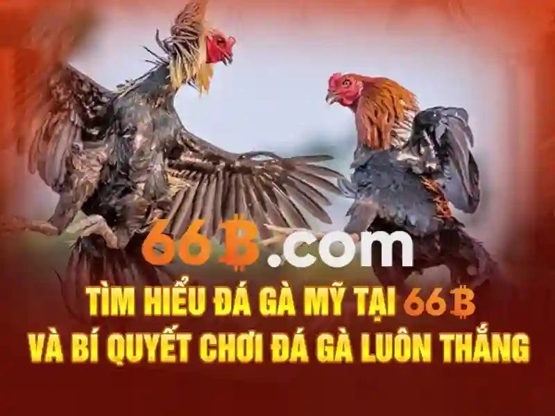 66b và những ý nghĩa tiềm ẩn