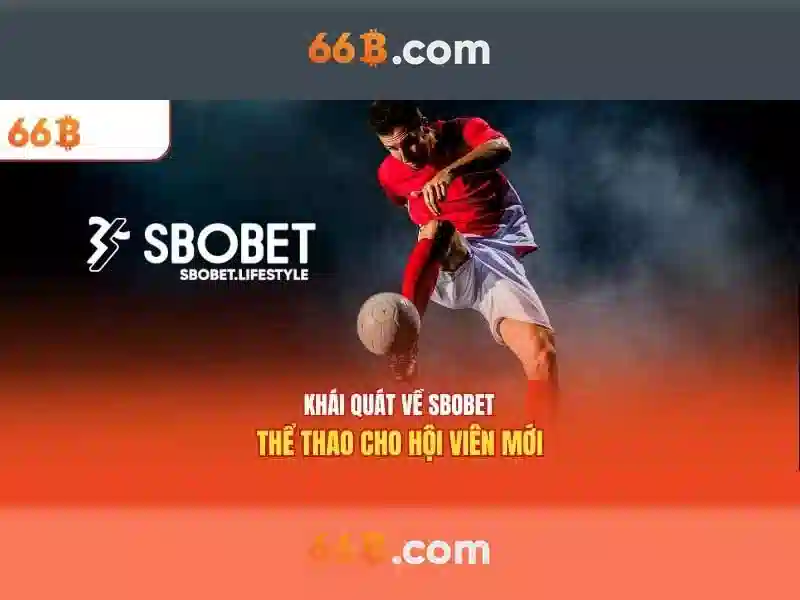 Kích thước và kiến trúc của 66B