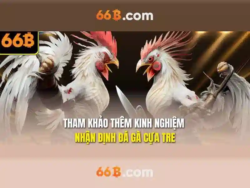 66b: Khám phá mô hình ngôn ngữ quy mô 66 tỷ tham số