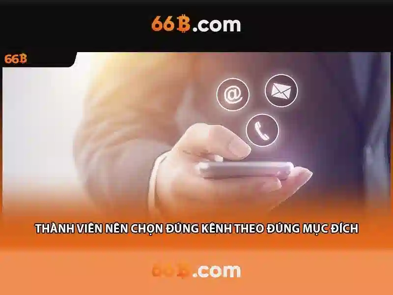 66b là gì và tại sao nó quan trọng 66b là gì và tại sao nó quan trọng