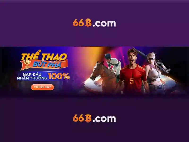 Khái niệm kích thước 66B Khái niệm kích thước 66B