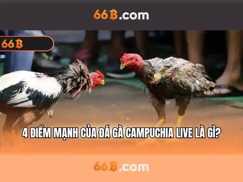 Mẹo chơi bắn cá 3 cây dễ ăn tiền nhà cái