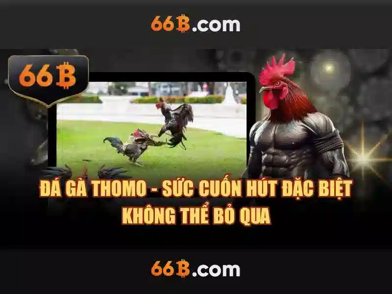 66b: Khám phá một khái niệm công nghệ và toán học