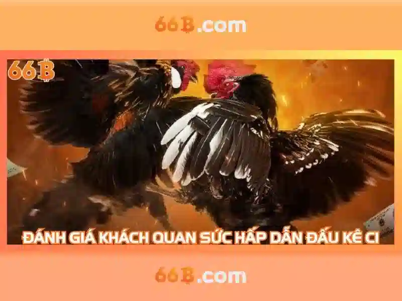 66b: Một cái nhìn tổng quan về công nghệ và văn hóa