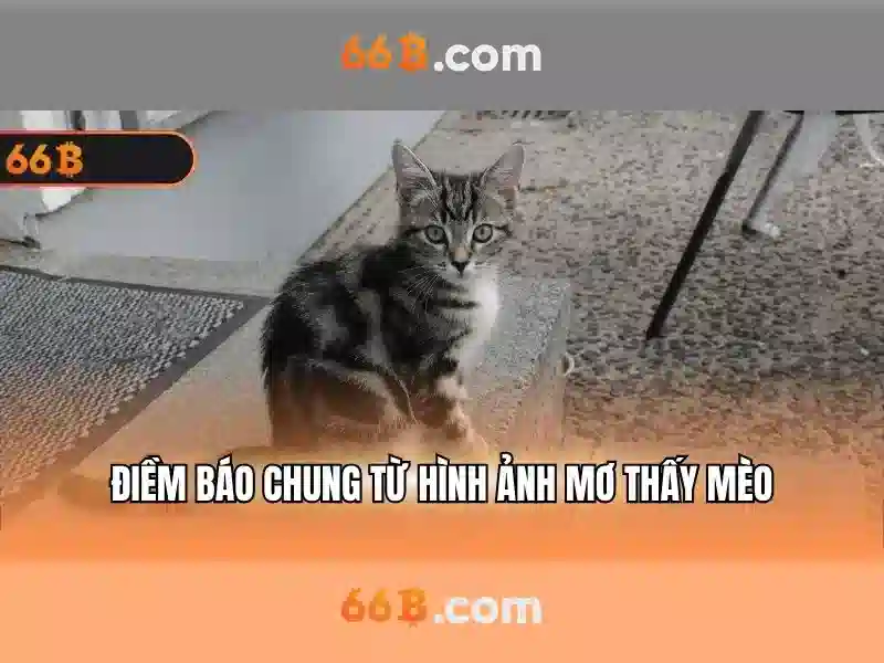 66b nguyễn sỹ sách p15 – Tổng quan chủ đề và giá trị cốt lõi