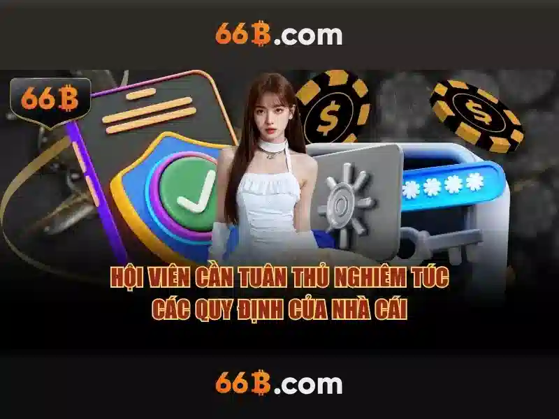 tai 66b: hành trình thương hiệu và trải nghiệm nổi bật