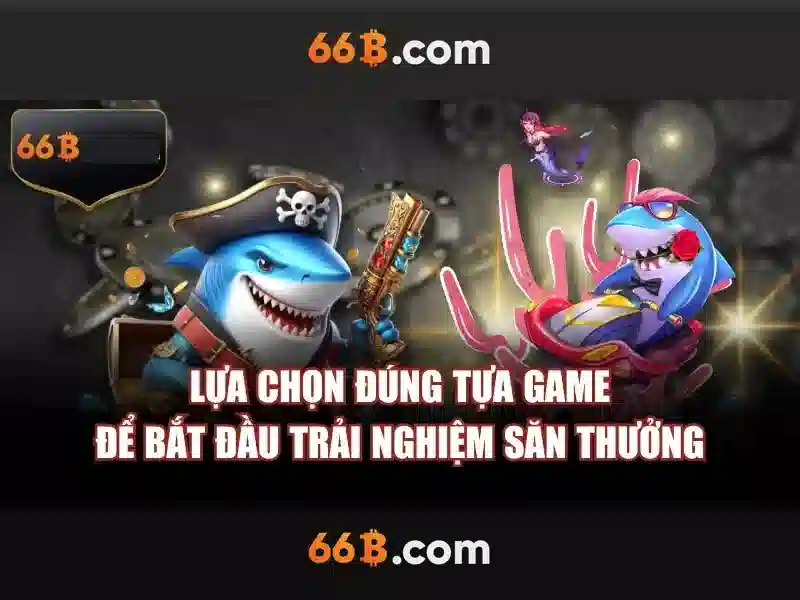Ý nghĩa của 66b trong tài chính