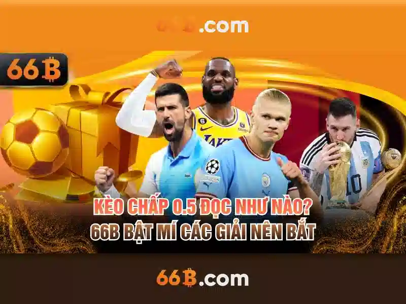 Giới thiệu về 66b