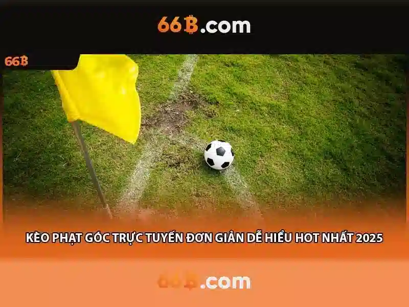 Khái niệm cơ bản về 66b và cách nó hoạt động Khái niệm cơ bản về 66b và cách nó hoạt động