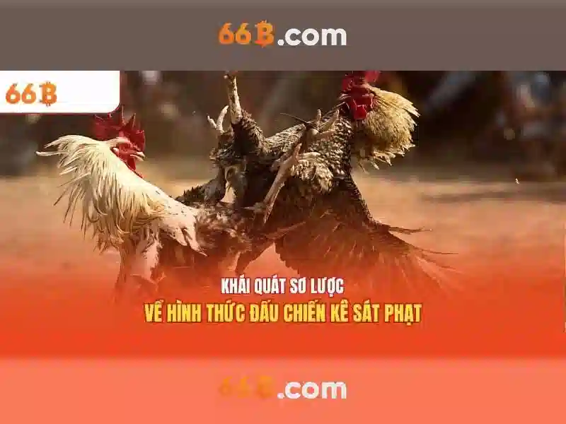Mẹo chơi bắn cá 3 cây dễ ăn tiền nhà cái