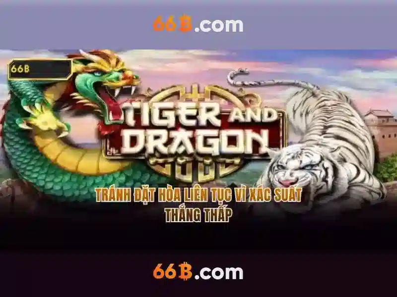 Trải nghiệm người dùng và phản hồi cộng đồng