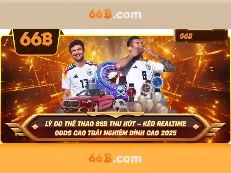 Giới thiệu về 66B Giới thiệu về 66B
