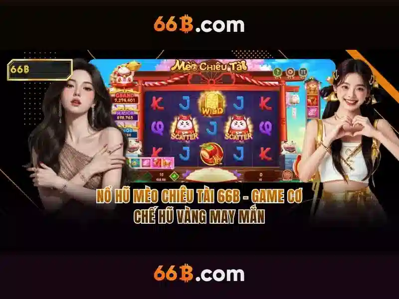Giới thiệu về 66B Giới thiệu về 66B