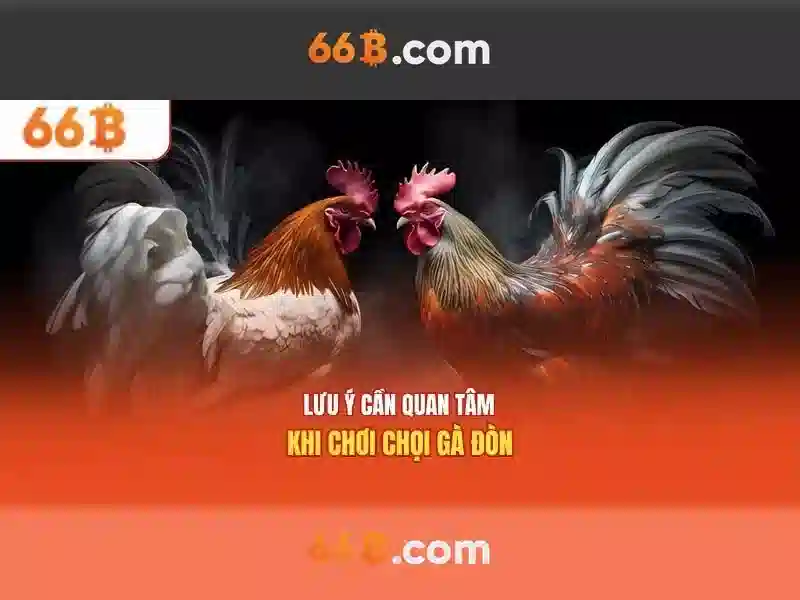 66B: Mô hình ngôn ngữ quy mô 66 tỷ