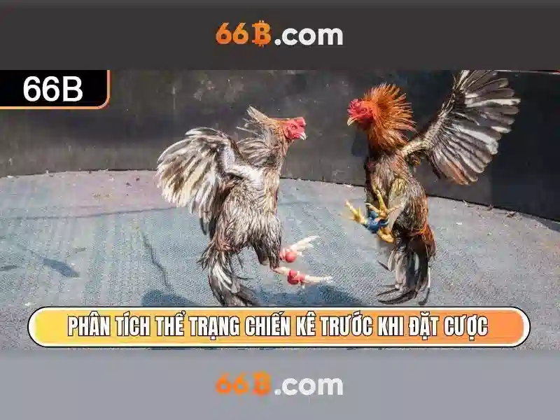 Kiến trúc của 66b\n