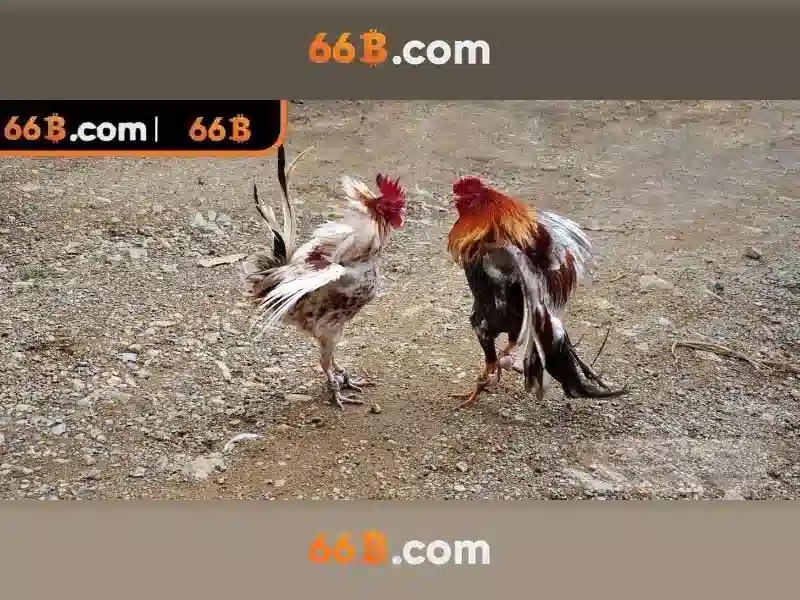 Mẹo chơi bắn cá 3 cây dễ ăn tiền nhà cái