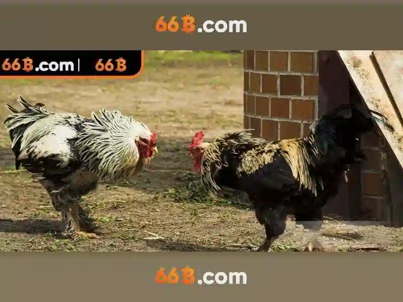 Khả năng và ứng dụng Khả năng và ứng dụng