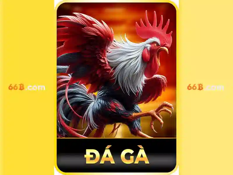 Giới thiệu về 66b và các nền tảng trí tuệ nhân tạo Giới thiệu về 66b và các nền tảng trí tuệ nhân tạo