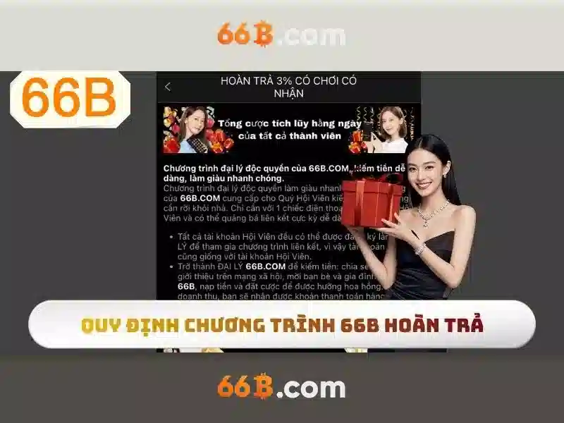 66B trong công nghệ: một cái nhìn tổng quan