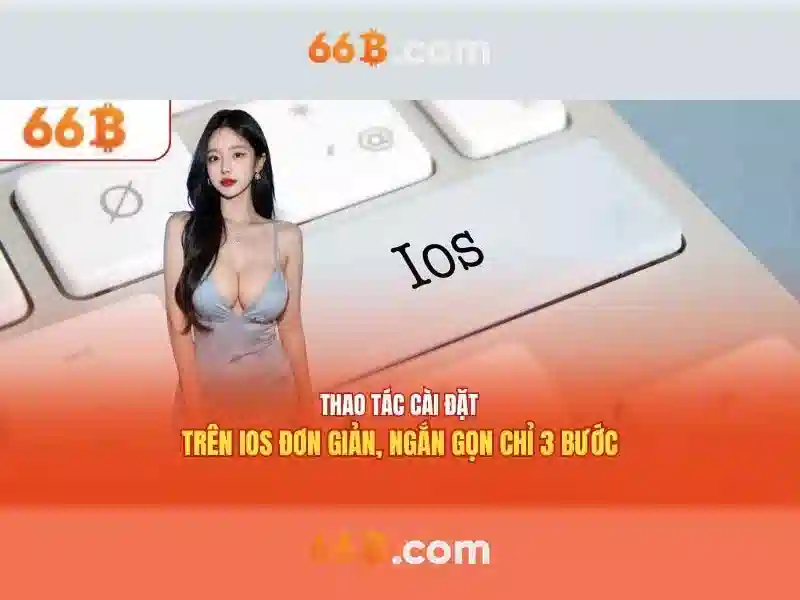 Kien truc chung va quy mo cua 66B\n