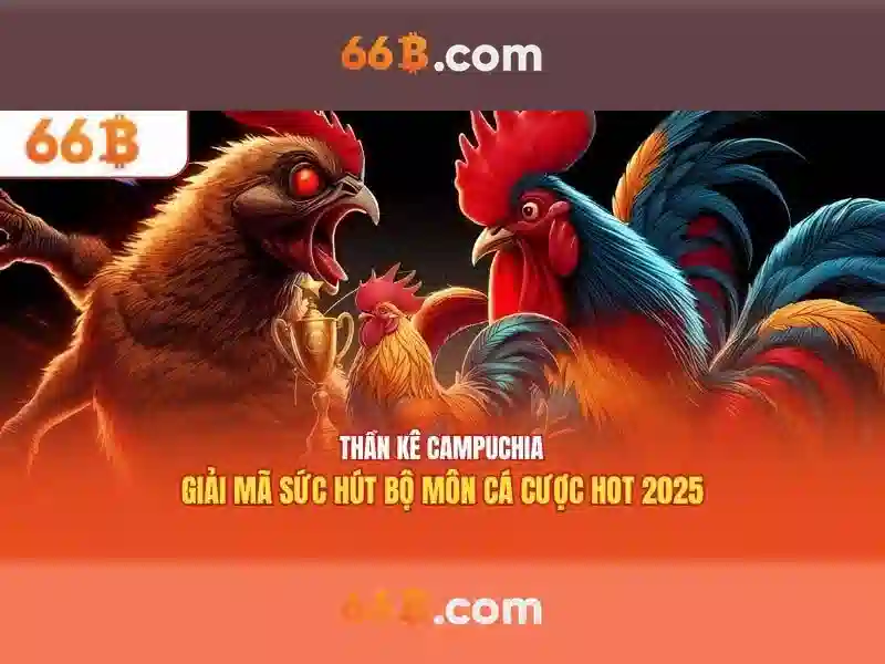 66b là gì và những cánh cửa công nghệ