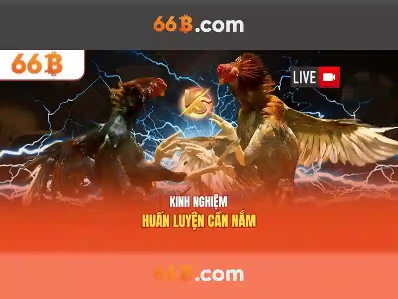 'Liên quan đến công nghệ và phát triển'