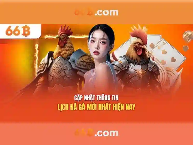'66b là gì?'