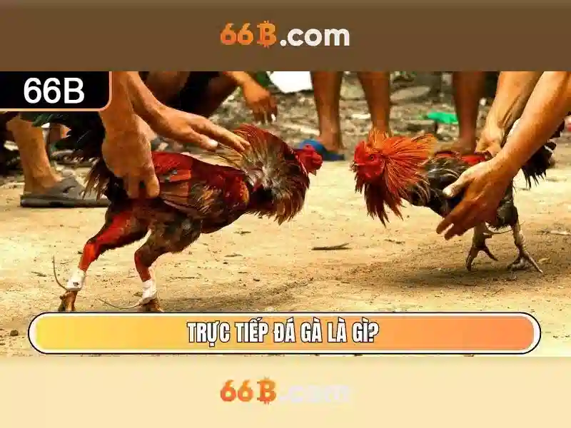 Giới hạn và thách thức