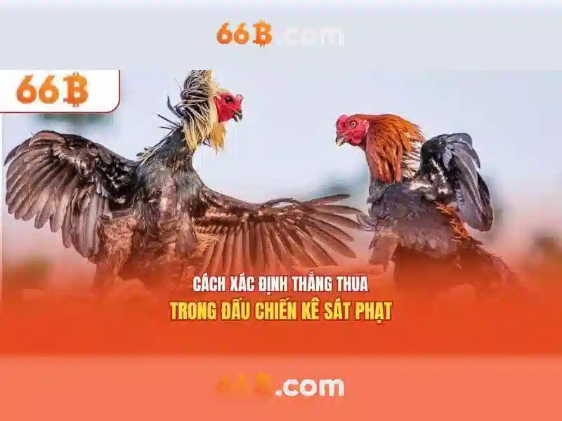 66b là gì và tại sao nó được quan tâm