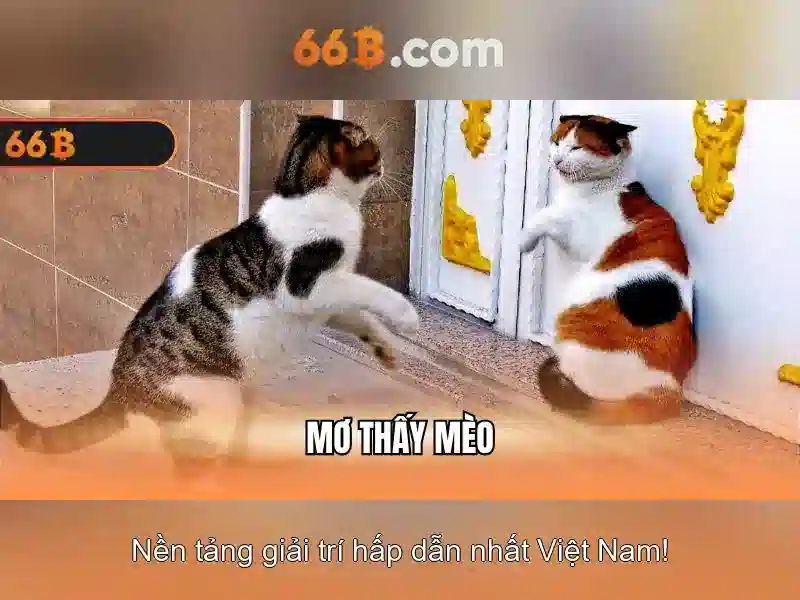66b là gì?\n 66b là gì?\n