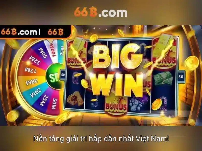 66B là gì?