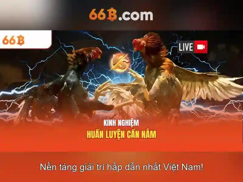 66b trong công nghệ và mã hóa 66b trong công nghệ và mã hóa
