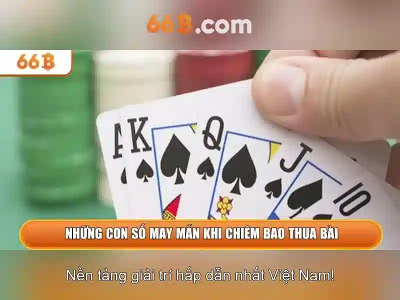 Hiệu suất và ứng dụng