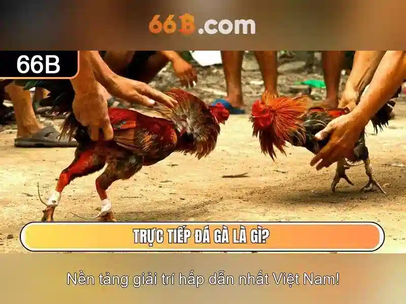 Mẹo chơi bắn cá 3 cây dễ ăn tiền nhà cái
