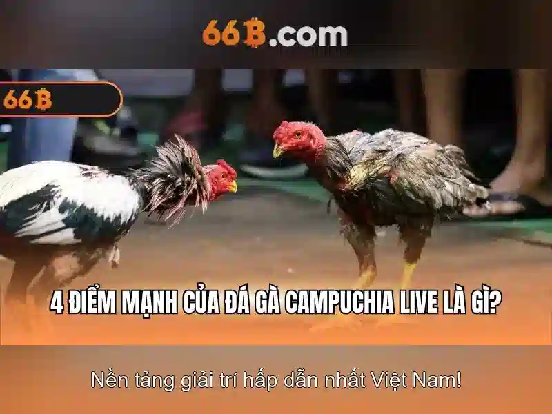 Đặc điểm kỹ thuật và thách thức
