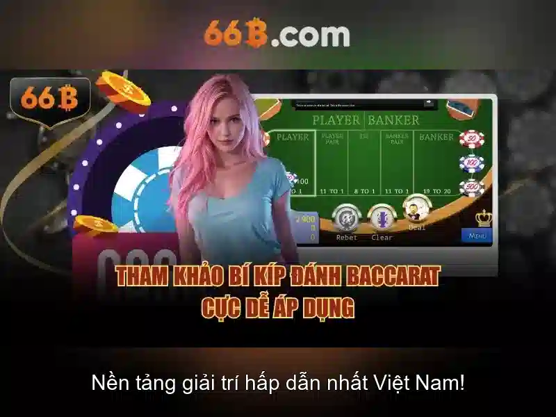 66B là gì và vì sao nó được quan tâm?