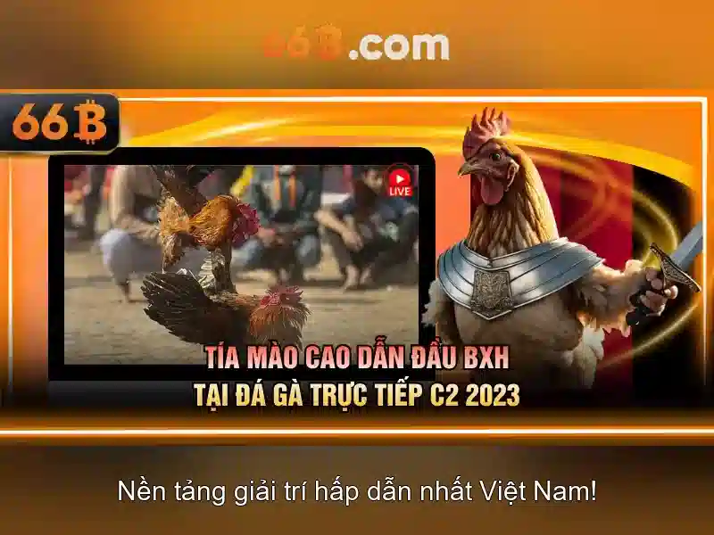 Các đặc điểm nổi bật của 66b Các đặc điểm nổi bật của 66b