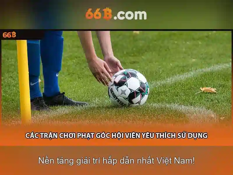 Kiến trúc và đào tạo của 66B