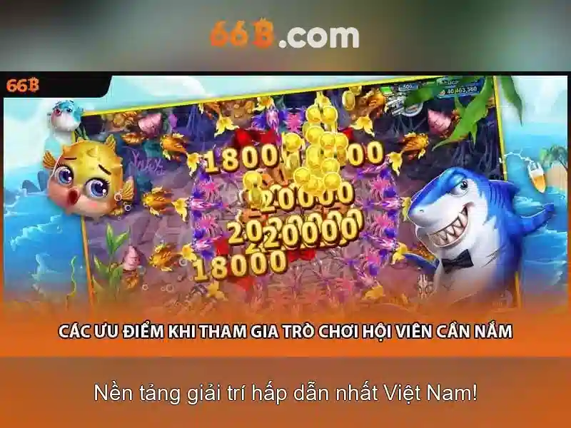 66b,com – Khai phá thương hiệu và trải nghiệm người dùng