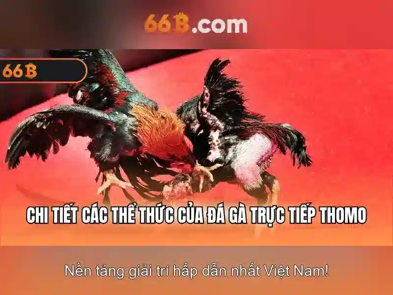 66b free chip – Tổng quan chủ đề và Giá trị cốt lõi\n