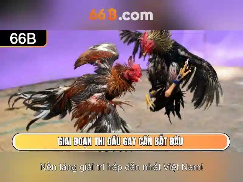 66b ảnh hưởng đến cộng đồng và ngôn ngữ trực tuyến