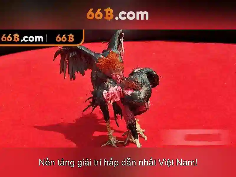 Ứng dụng thực tế của 66B Ứng dụng thực tế của 66B