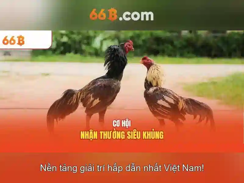Nguyên lý hoạt động của 66b\n Nguyên lý hoạt động của 66b\n