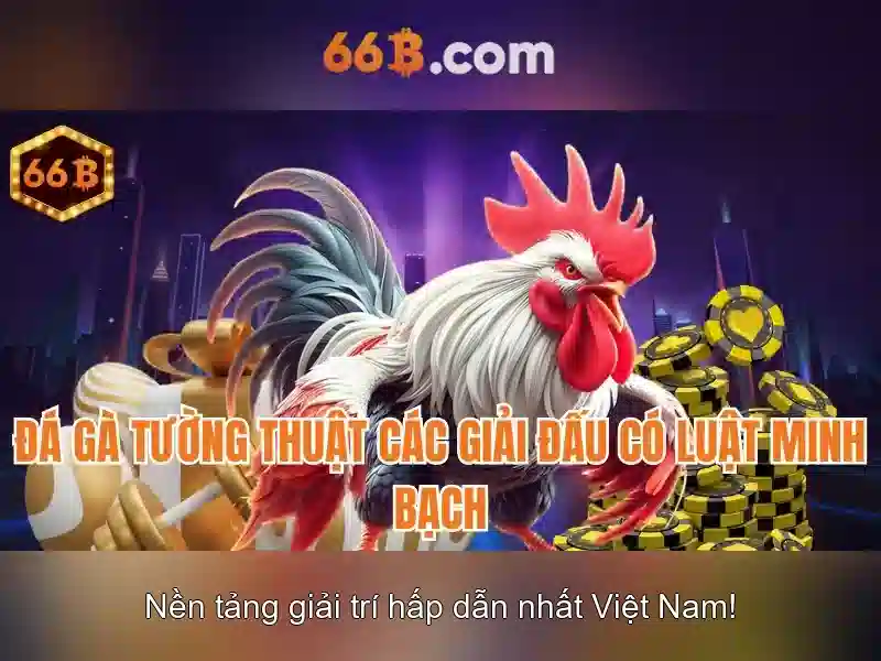 66b nguyễn sỹ sách – Định hình trải nghiệm và thương hiệu 66b