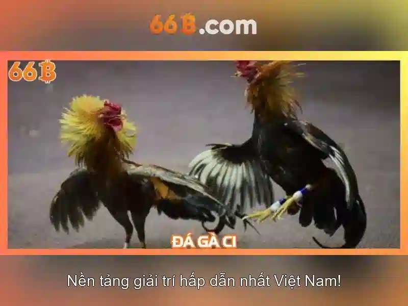 66b: một khái niệm công nghệ và tương lai