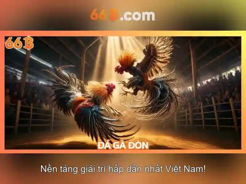 66b: khái niệm và ứng dụng hiện đại