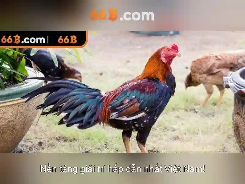 Mẹo chơi bắn cá 3 cây dễ ăn tiền nhà cái